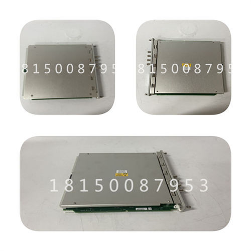 IB3110551 ELEMASTER 模块