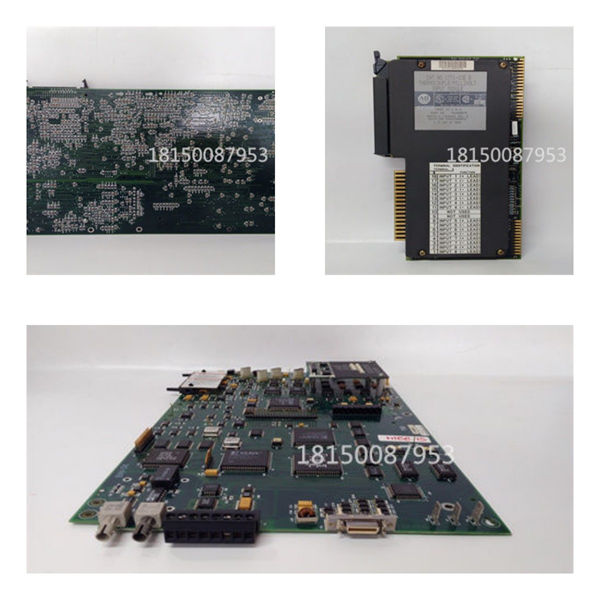 DEMO TRICONEX PLC模块