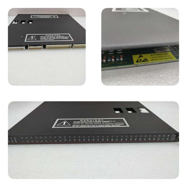 2841 TRICONEX 输入模块