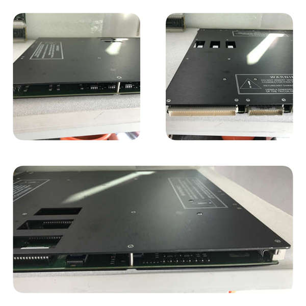 8312 TRICONEX   电源模块 