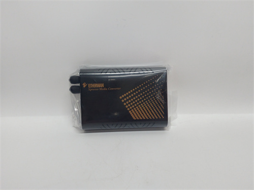 ETHERWAN EL100T 