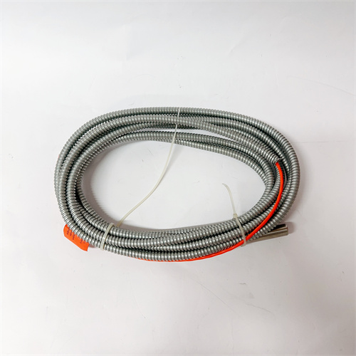 EPRO PR9376/010-011 9200-00097