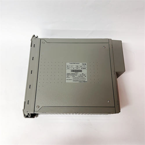 ICS TRIPLEX T8110B  