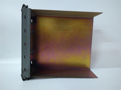 ICS TRIPLEX T8193 模块