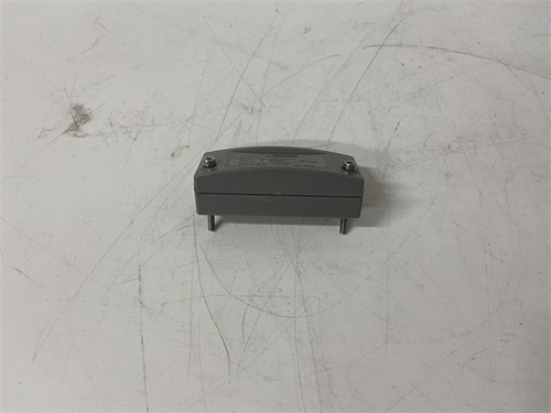 ICS TRIPLEX T9310-02 模块