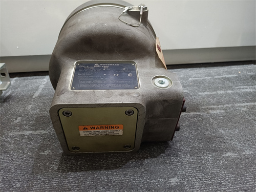 WOODWARD 9907-1200 模块