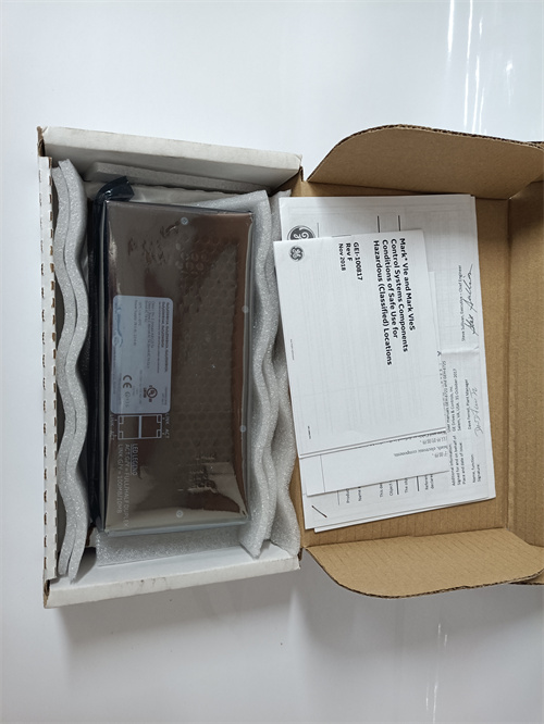 GE IS420ESWBH3A 模块