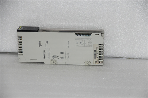 SCHNEIDER 140CPS11420 模块