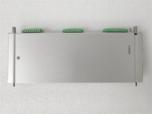 Bently Nevada 128229-01 小卡