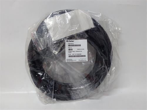 FOXBORO P0916WG 电缆
