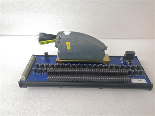 ROCKWELL T8830 模块