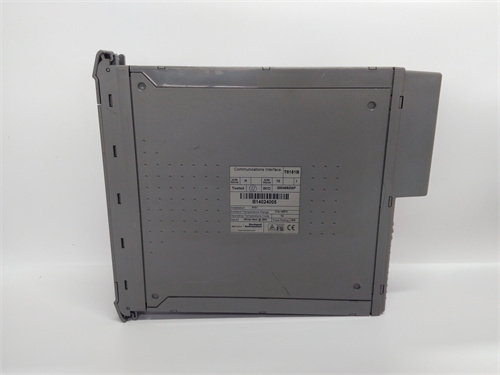 ICS TRIPLEX T8151B 模块