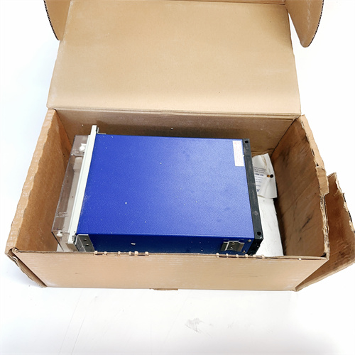 ALSTOM MAVS01L1AB0751D 模块