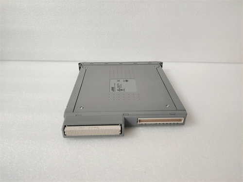 ICS TRIPLEX T8431 模块