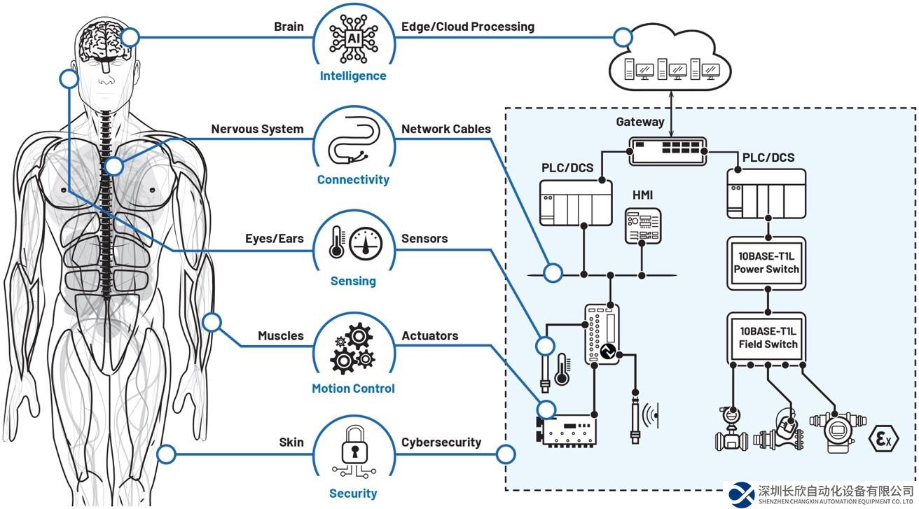 让数字工厂成为现实：通过数字化转型走向成功