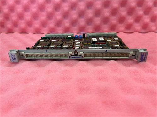 VMIVME-2540.袁翠竹.2023.5.30 (4).jpg