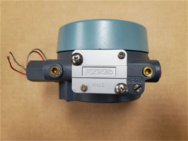 FOXBORO E69F-BI2-S 2.jpg