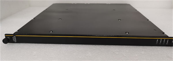 TRICONEX 3607E 3.jpg