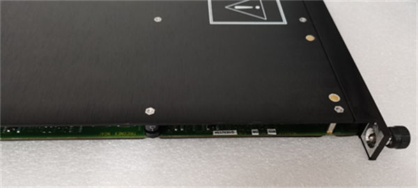 TRICONEX 3607E 2.jpg