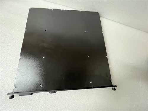 TRICONEX 3008N (4).JPG