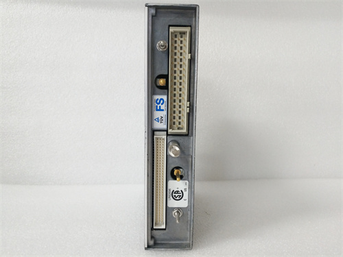 TRICONEX 3381 (4).jpg